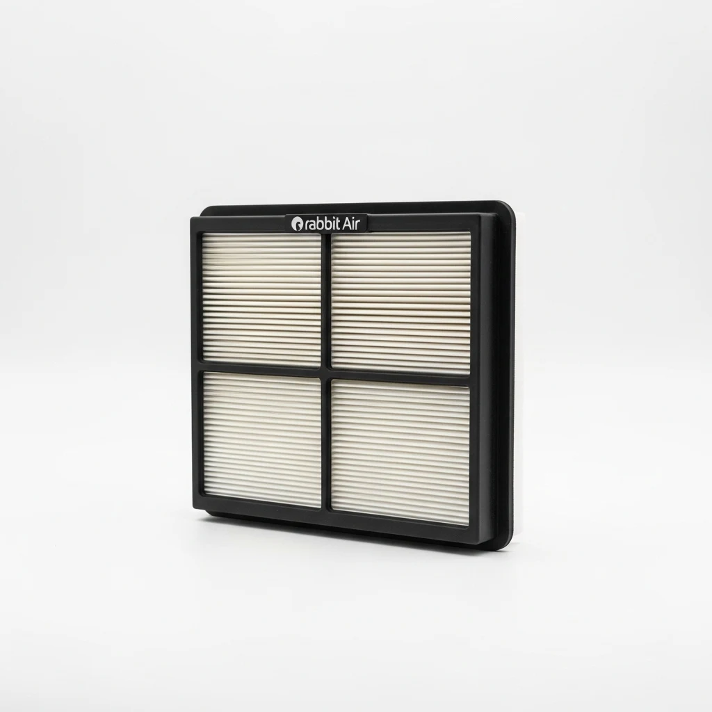 Rabbit Air BioGS HEPA filter